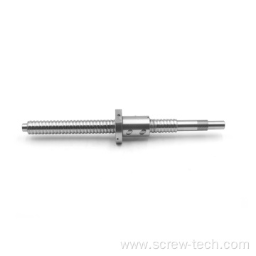 High accuracy customsized ball screw for gantry robot